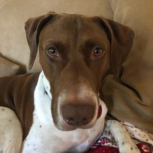 Meet your Posher, Maggie